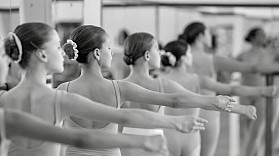 800 615 279 156